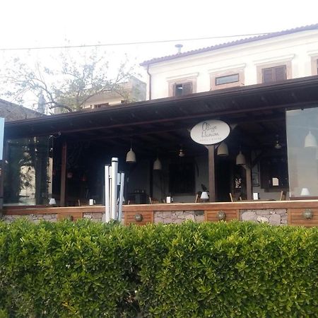 Aliye Hanim Hotel Ayvalı Exteriör bild